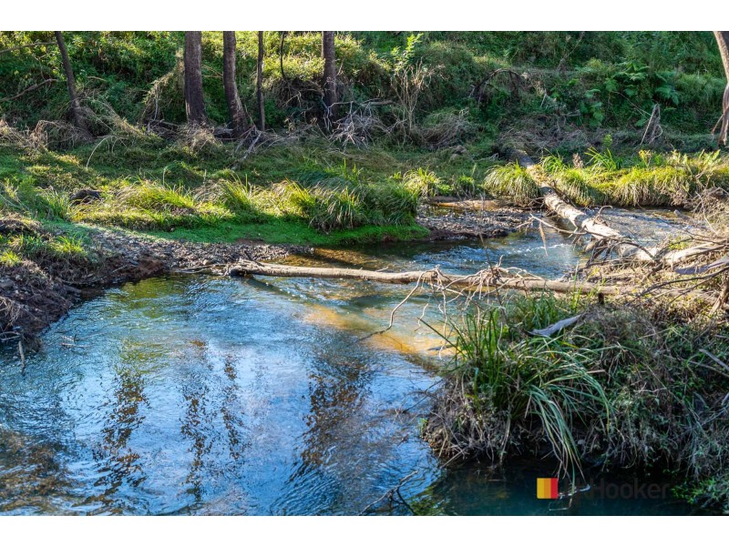 54 Allards Lane, Nelligen NSW 2536