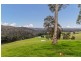 983 Black Flat Road, Currowan NSW 2536