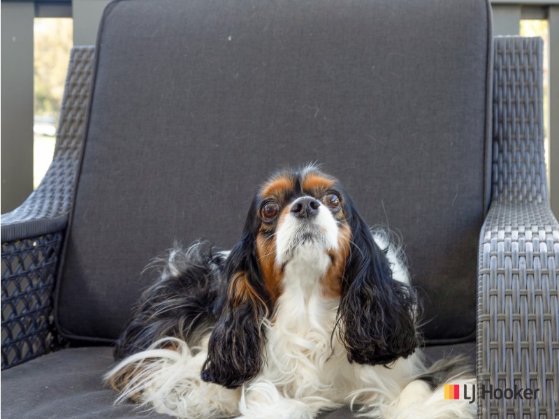 Site 19/55 Sunpatch Parade, Tomakin NSW 2537