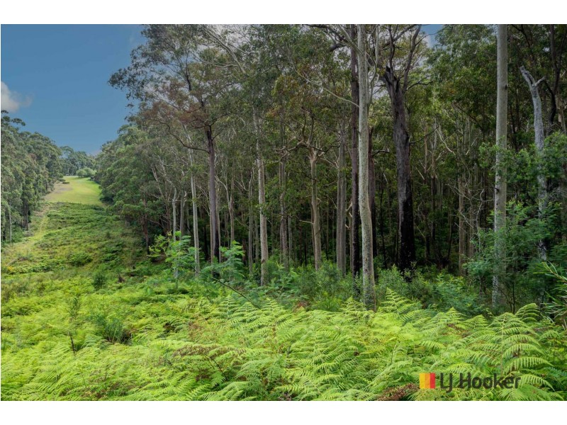 43 Long Beach Road, Long Beach NSW 2536