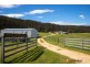 210 Nelligen Creek Road, Nelligen NSW 2536