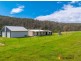 210 Nelligen Creek Road, Nelligen NSW 2536