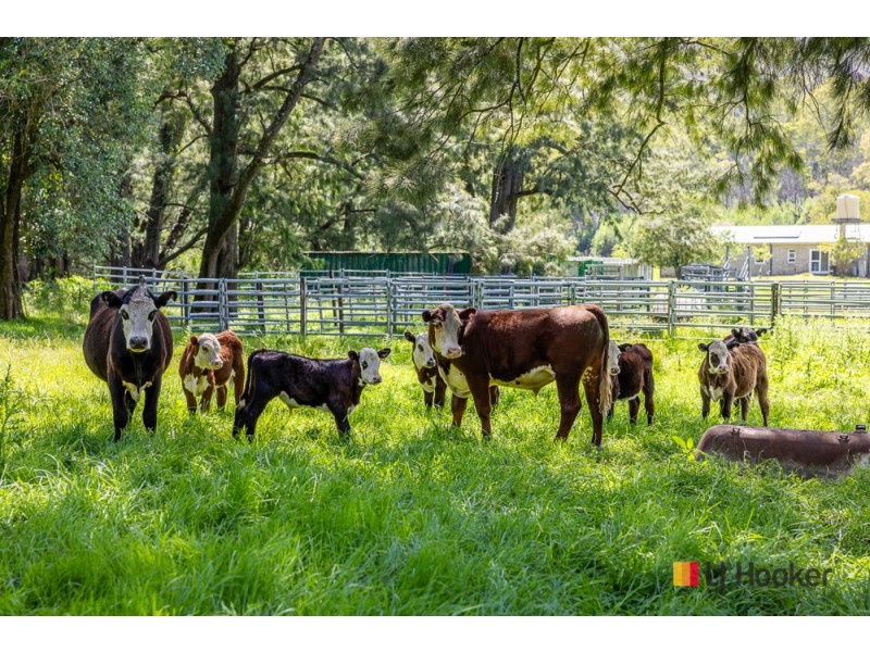 1325 Old Bolaro Road, Buckenbowra NSW 2536