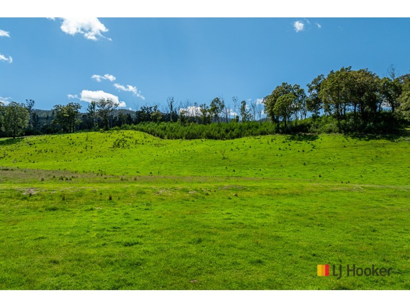 1325 Old Bolaro Road, Buckenbowra NSW 2536