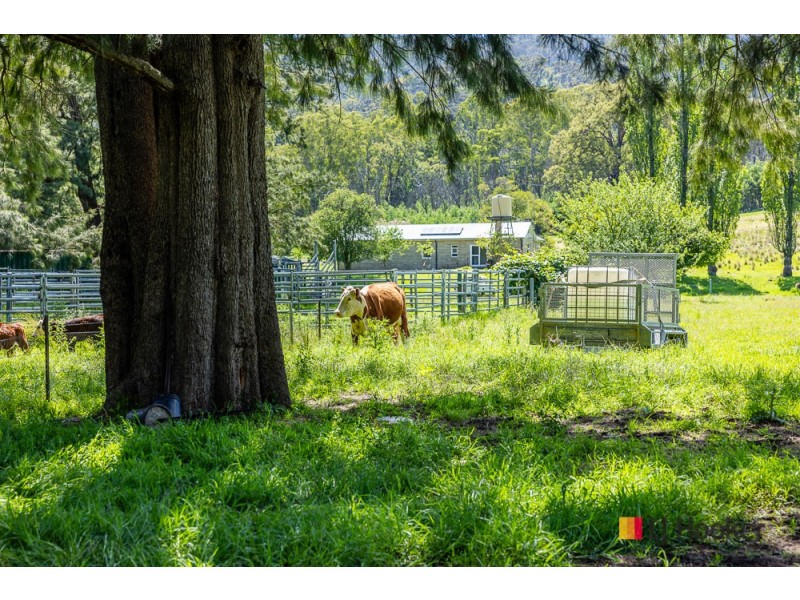 1325 Old Bolaro Road, Buckenbowra NSW 2536