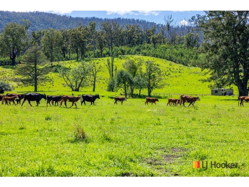 1325 Old Bolaro Road, Buckenbowra NSW 2536