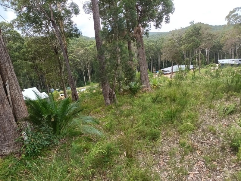 Lot 5 Sanctuary Forest Place, Long Beach NSW 2536