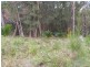 Lot 5 Sanctuary Forest Place, Long Beach NSW 2536