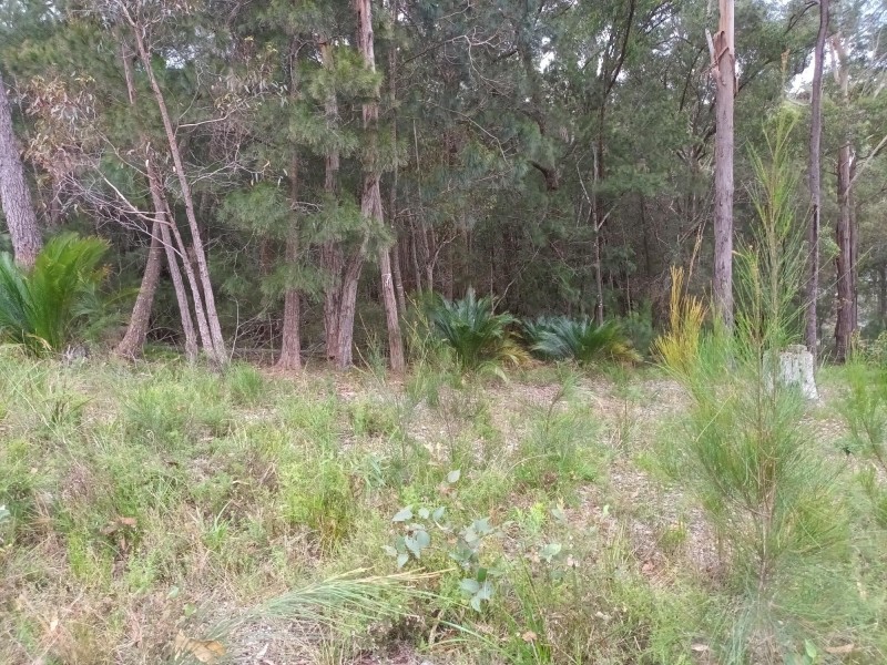 Lot 5 Sanctuary Forest Place, Long Beach NSW 2536