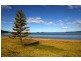 Lot 5 Sanctuary Forest Place, Long Beach NSW 2536