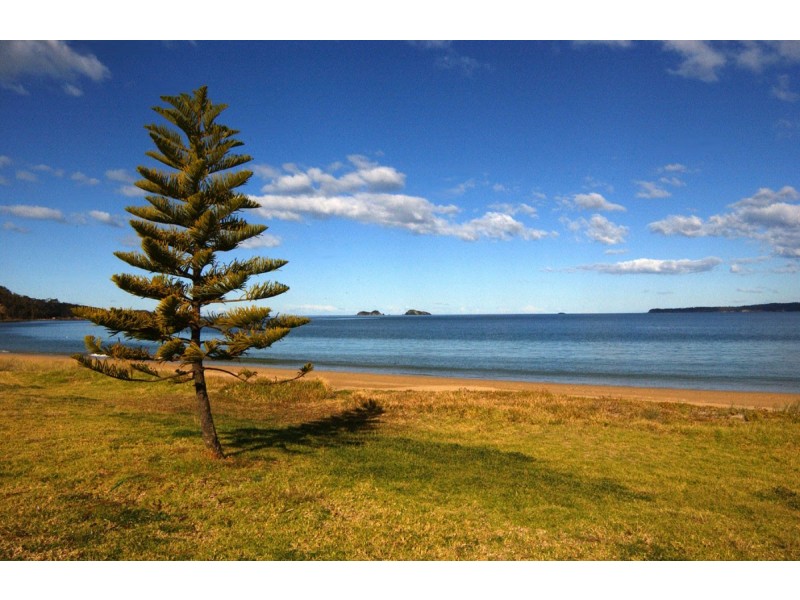 Lot 5 Sanctuary Forest Place, Long Beach NSW 2536
