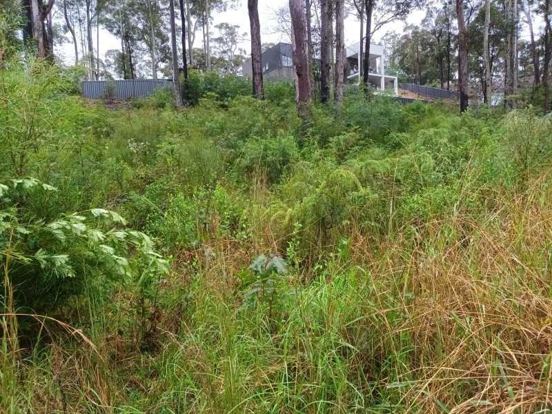 52 Bellbird Drive, Malua Bay NSW 2536