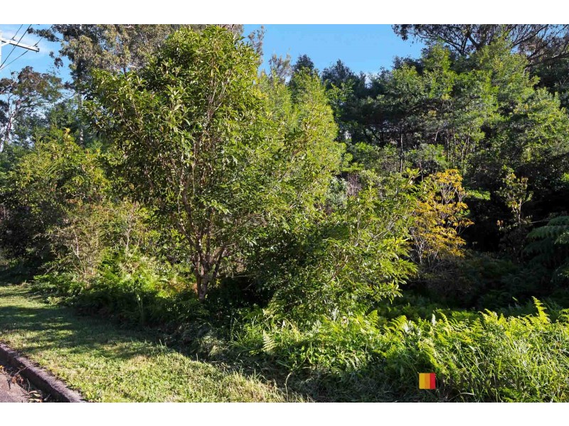 25 Clyde Boulevard, Nelligen NSW 2536