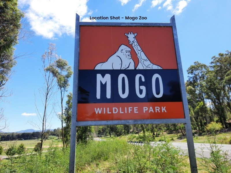 Veitch Street Blocks, Mogo NSW 2536