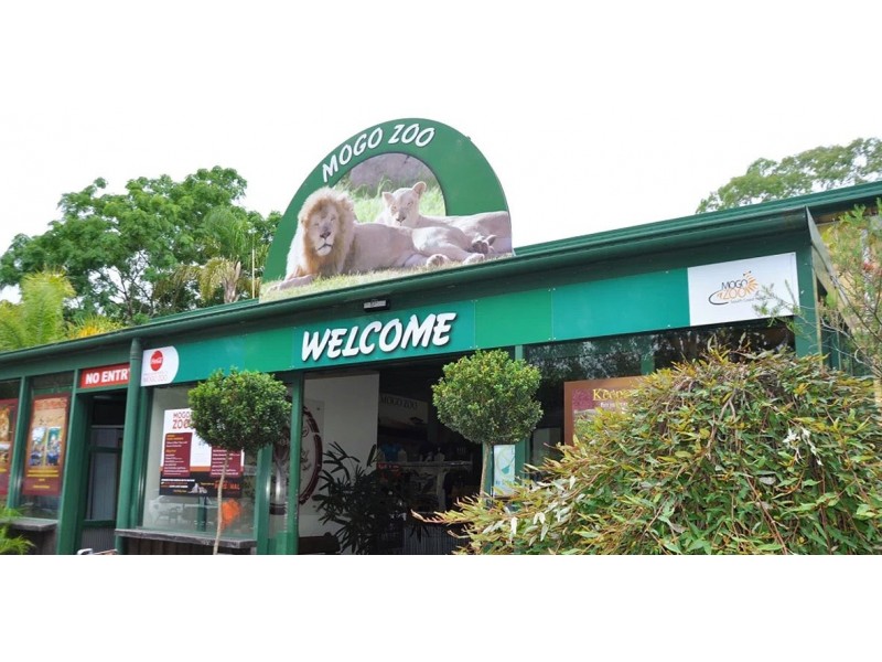 Veitch Street Blocks, Mogo NSW 2536