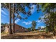 19 Riverview Crescent, Catalina NSW 2536