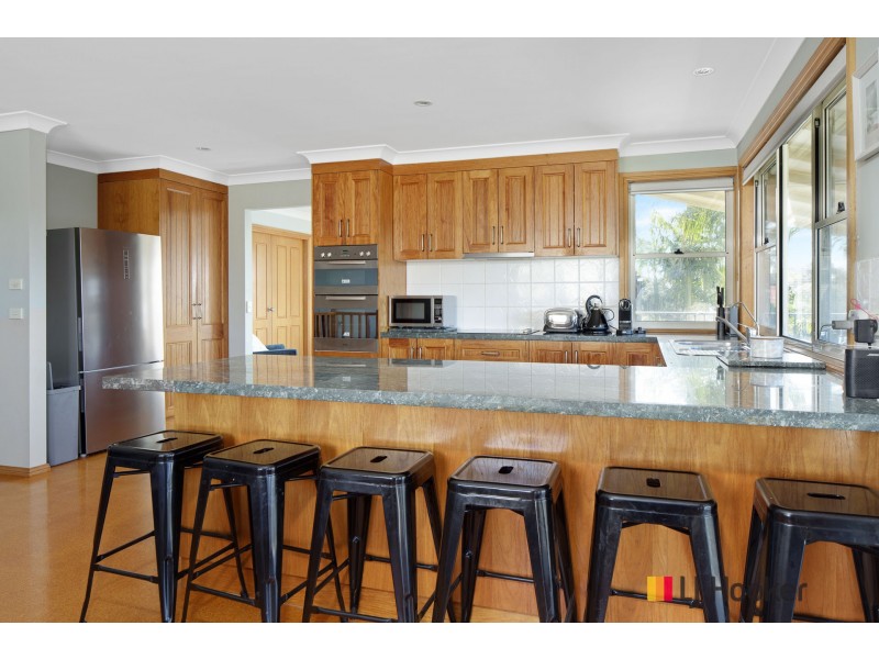 17 Derribong Avenue, Catalina NSW 2536