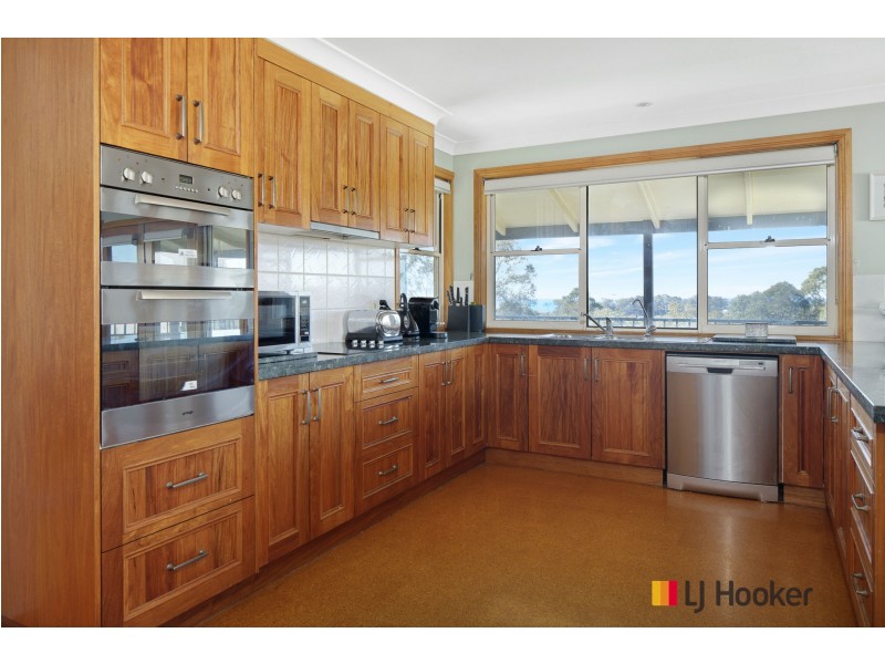 17 Derribong Avenue, Catalina NSW 2536