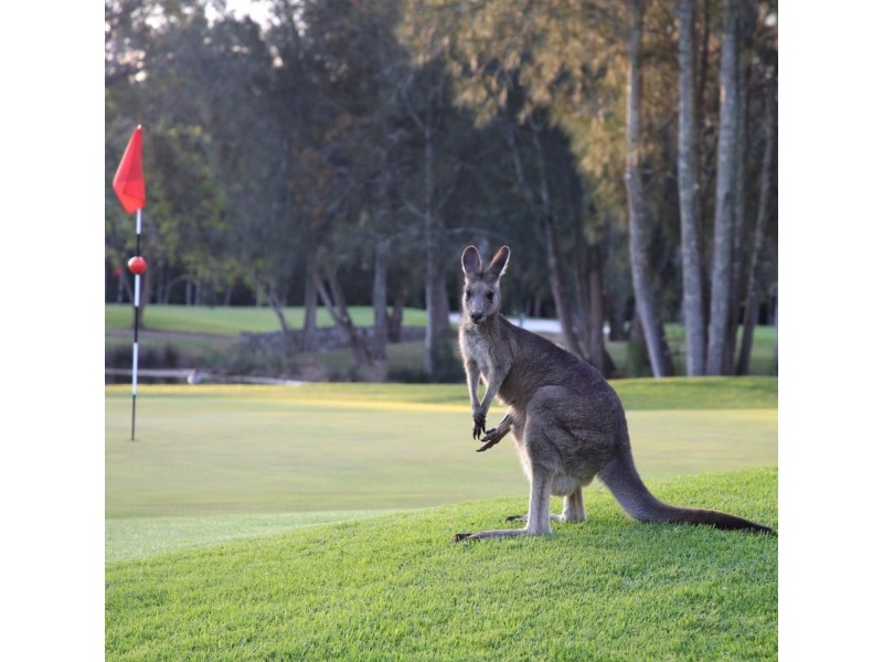 79 Ridge Street, Batemans Bay NSW 2536