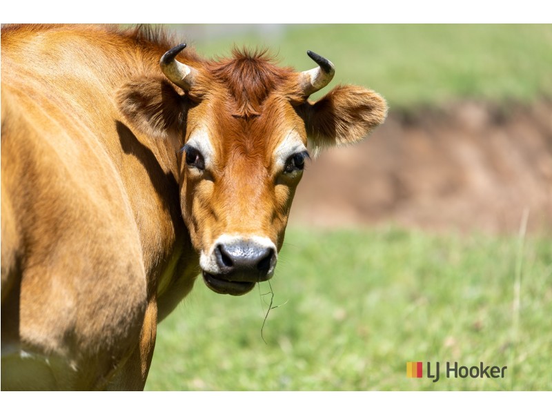 2581 Kings Highway, Currowan NSW 2536