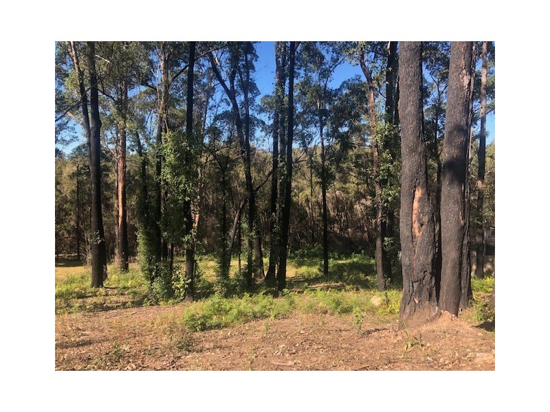 17 Oakwood Way, Catalina NSW 2536