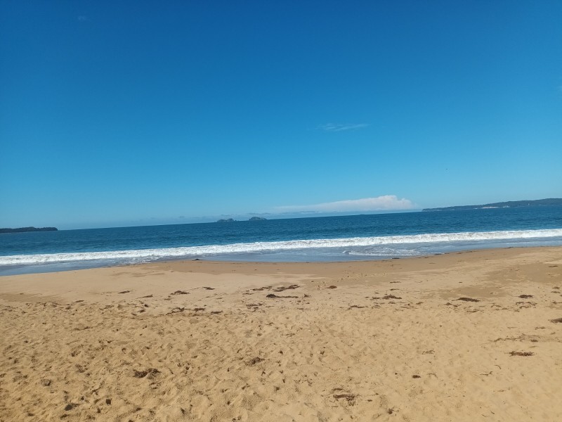 252 Blairs Road, Long Beach NSW 2536