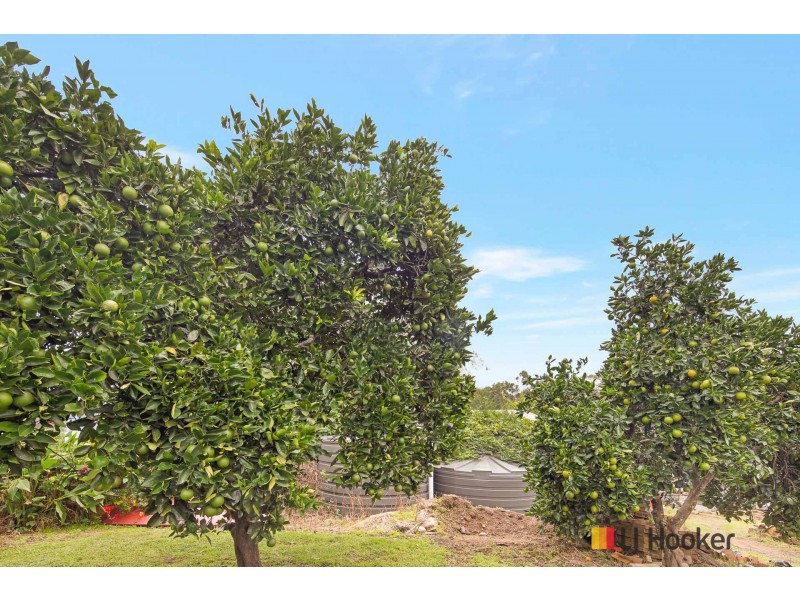 2 Cowper Street, Nelligen NSW 2536