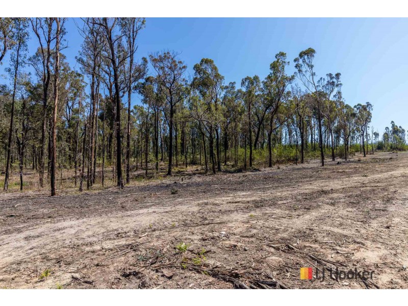 177 Goldfields Drive, Jeremadra NSW 2536