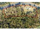 91 Heron Road, Catalina NSW 2536