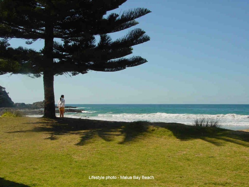 50 Wattlebird Way, Malua Bay NSW 2536