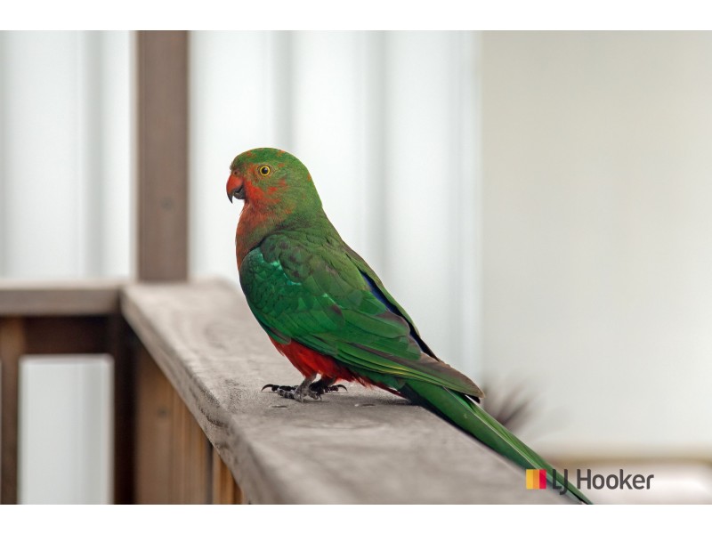 22 Mulgowrie Street, Malua Bay NSW 2536