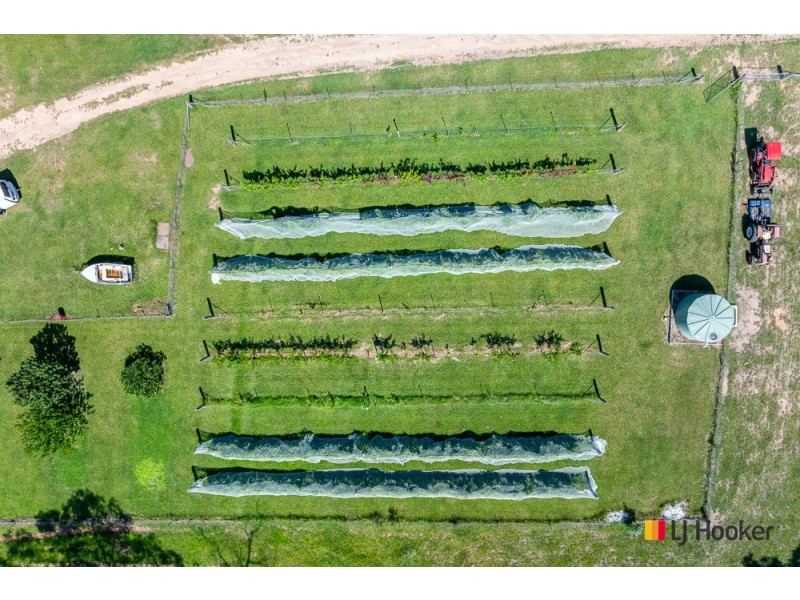 130 Allards Lane, Nelligen NSW 2536