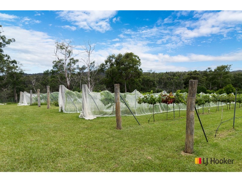 130 Allards Lane, Nelligen NSW 2536
