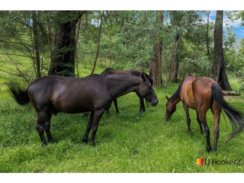 130 Allards Lane, Nelligen NSW 2536