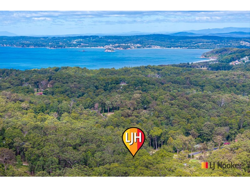 50 Tree Fern Place, Long Beach NSW 2536