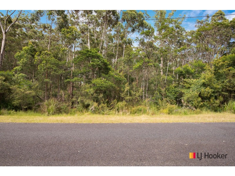 50 Tree Fern Place, Long Beach NSW 2536