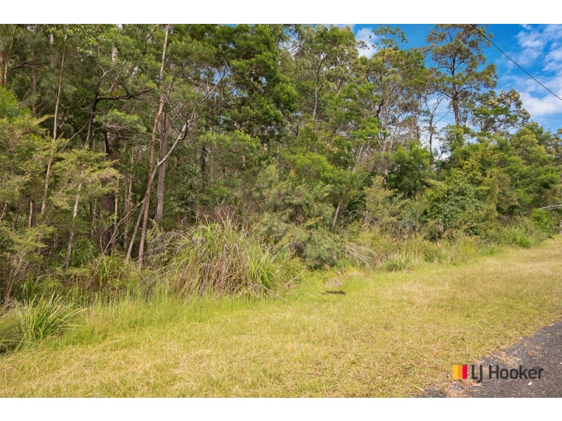 50 Tree Fern Place, Long Beach NSW 2536