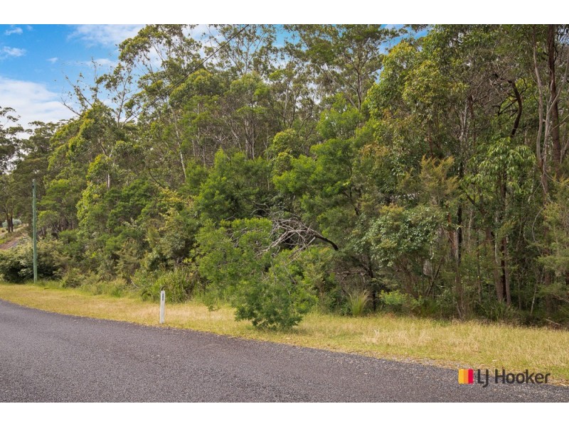 50 Tree Fern Place, Long Beach NSW 2536