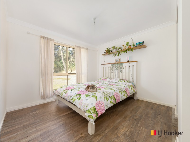 31 Buckenbowra Road, Mogo NSW 2536