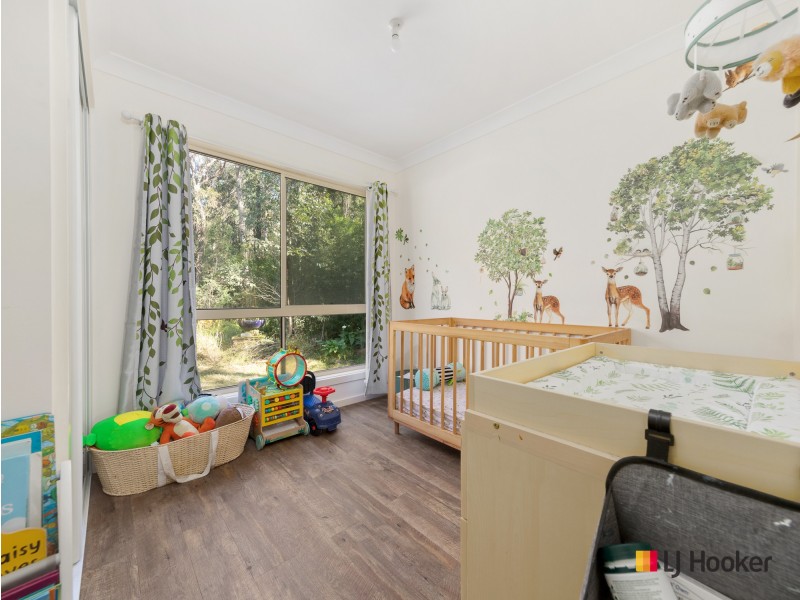 31 Buckenbowra Road, Mogo NSW 2536