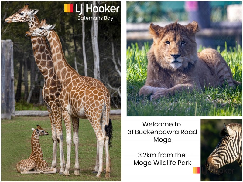 31 Buckenbowra Road, Mogo NSW 2536
