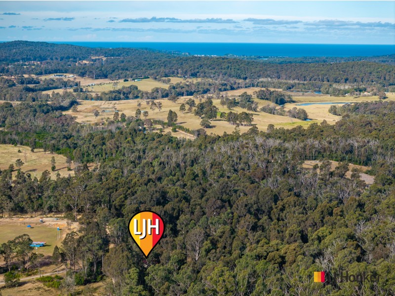 31 Buckenbowra Road, Mogo NSW 2536