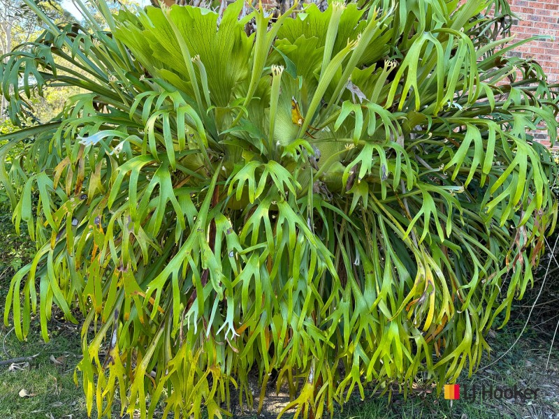 80 Northcove Road, Long Beach NSW 2536