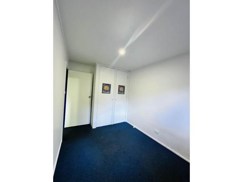 3 Catalina Drive, Catalina NSW 2536