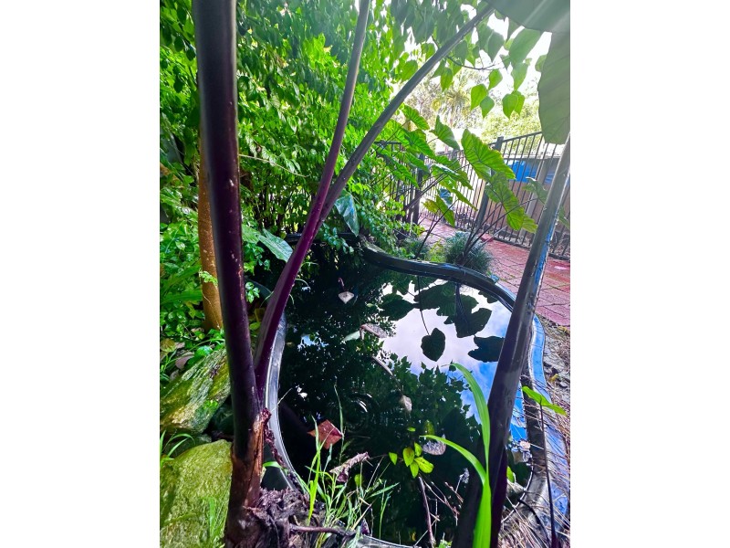 3 Catalina Drive, Catalina NSW 2536