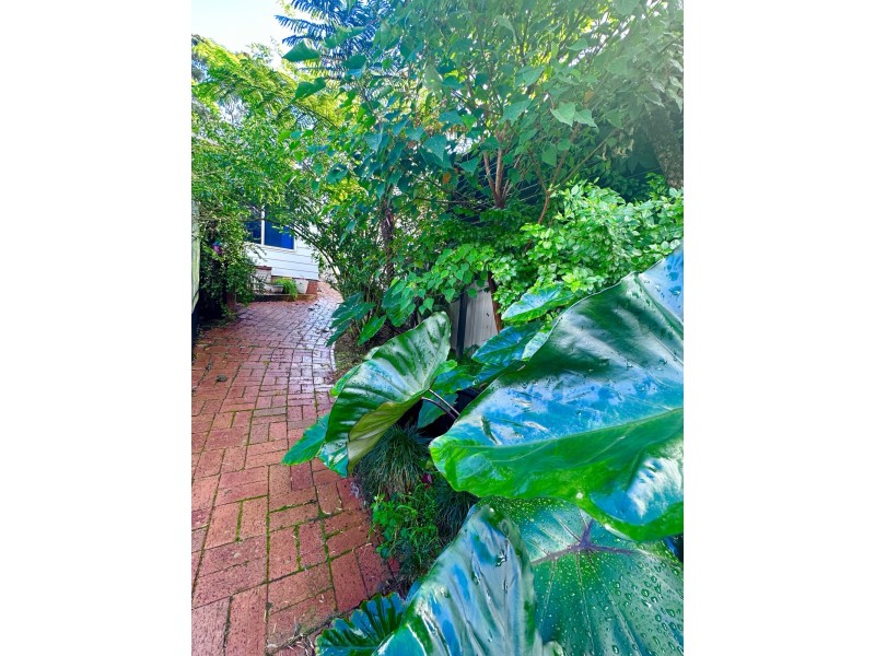 3 Catalina Drive, Catalina NSW 2536