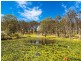 31 Old Bolaro Road, Nelligen NSW 2536