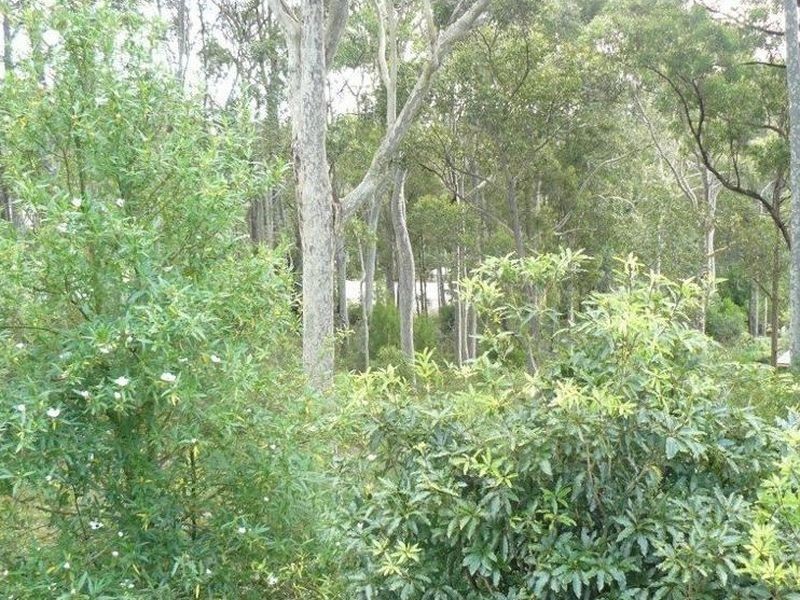 7 Currell Close, Malua Bay NSW 2536