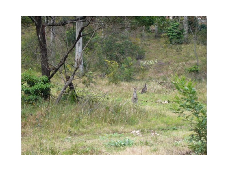 22 Berrima Street, Catalina NSW 2536