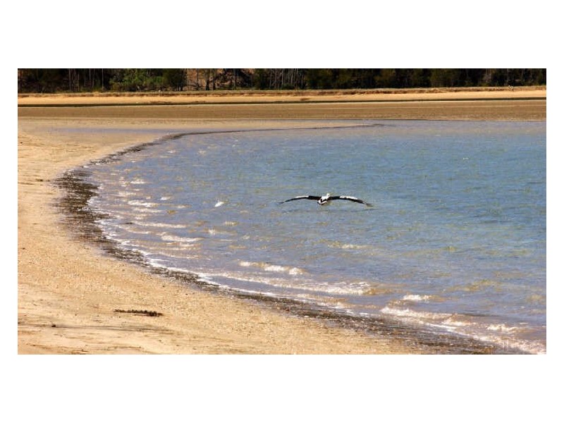 Lot 124 Myamba Parade, Surfside NSW 2536